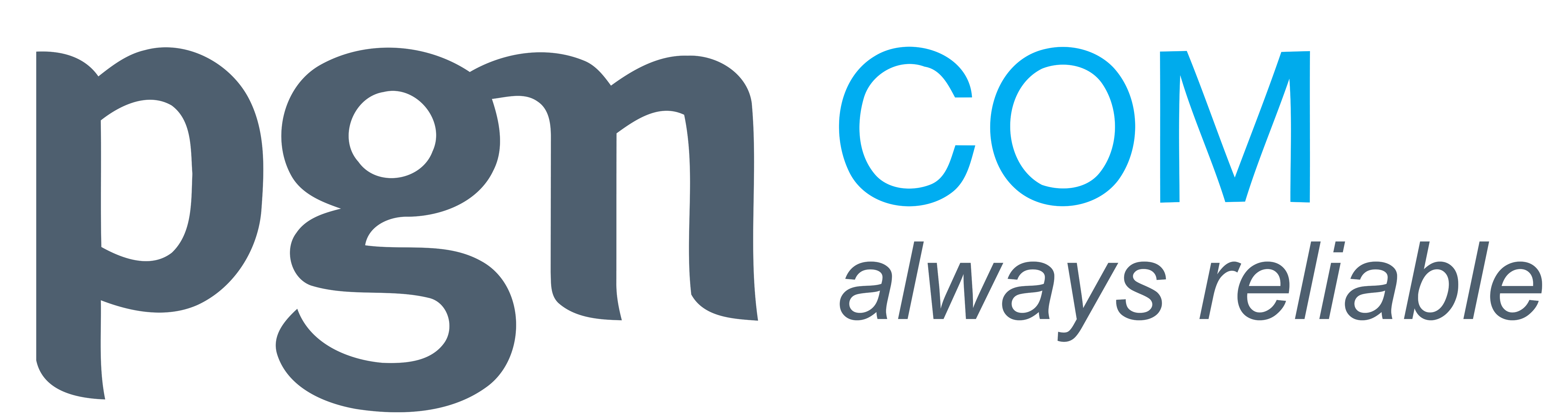 PGNCOM